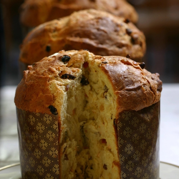 Ferrara Bakery Panettone Alto