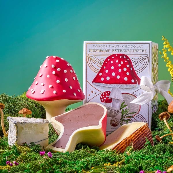 Vosges’ Chocolate Mushroom Extraordinaire