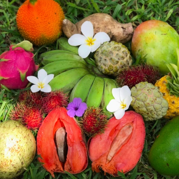 Miami-Fruit-Premium-Variety-Box